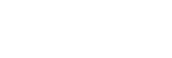 bottai logo blanco